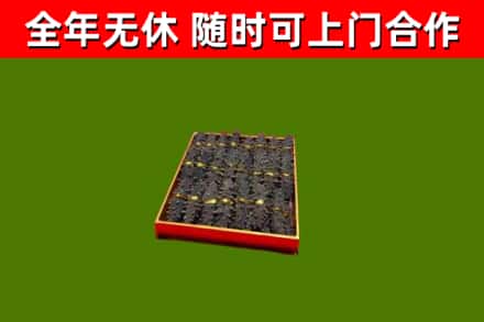 岱山回收海参